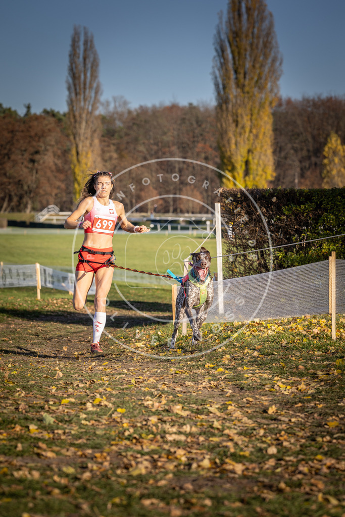 CaniXpix_DV3A1470 | Hundefotografie, Tierfotograf, Pfotenfotografie, Fotoshooting Hund, Hunde Portrait, Hundesport, Hundeportraits, Heideshooting, Hunde, Sportfotograf, Hundefotograf, Turnierhundsport, THS,  - Realisiert mit Pictrs.com