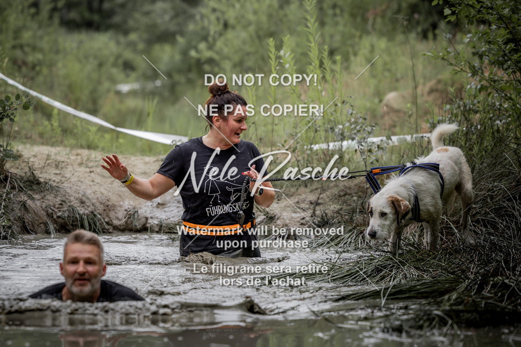 nelerasche_so0800-0930_428 | nelerasche