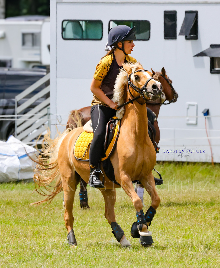 1B3A0559 | Reitsport Reiten