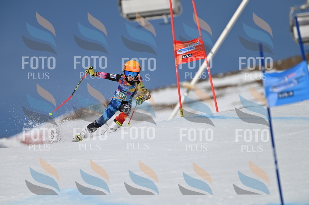 BGV_6687 | holidayphoto