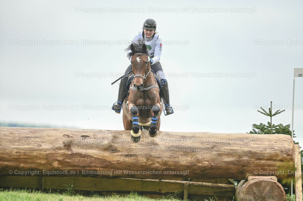20230513_CCI2_Section2_Gelände_0506 | equistock