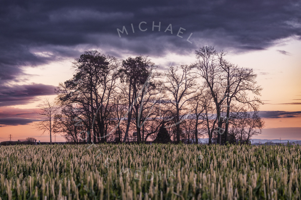 Kaiserstein im Sonnenuntergang | Schwotte Media - Realisiert mit Pictrs.com