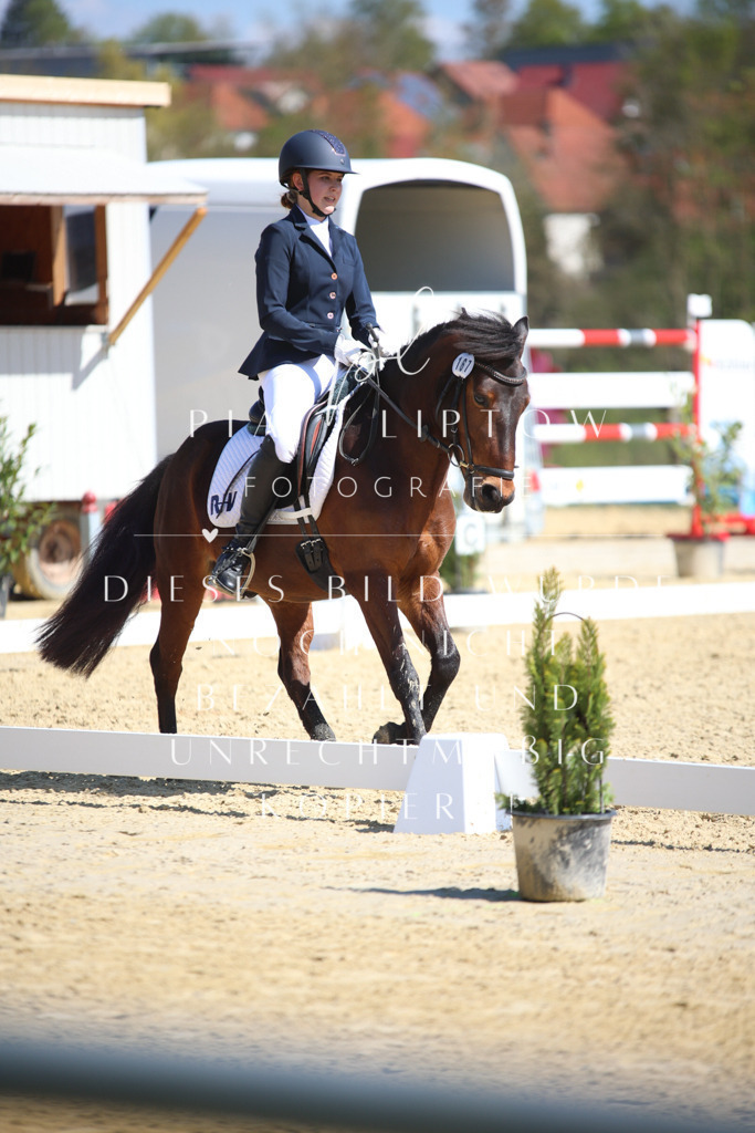 IMGT7675 | pl-fotografie