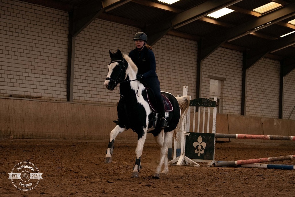 Lieblingsbilder_Photoboo_48 | Pferde- und Hundefotografie in Köln und Umgebung von Vanessza Csuka - Realisiert mit Pictrs.com