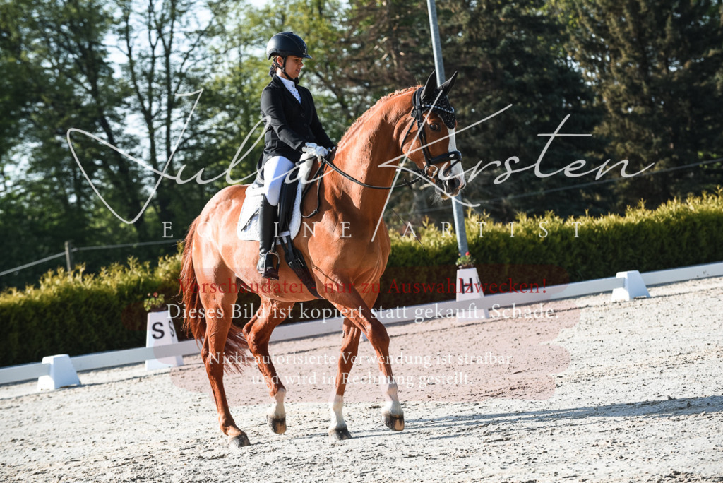 20230518_JK-Röhrsdorf-09-0403 | Pferde- und Turnierfotografie in Westsachsen. Pferdeportraits, Auftragszeichnungen und intuitive Kunst.
