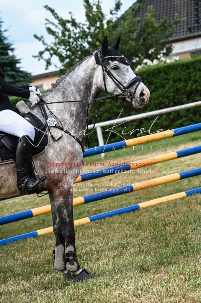 DSC_8360 | Pferde- und Turnierfotografie in Westsachsen. Pferdeportraits, Auftragszeichnungen und intuitive Kunst.