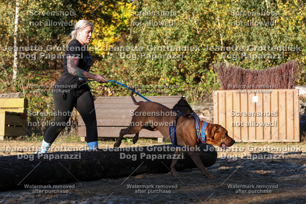 Dog Paparazzi - Strongdog 10-25-1176 | Dog Paparazzi Jeanette Grottendiek Fotografie & Videografie - Realisiert mit Pictrs.com