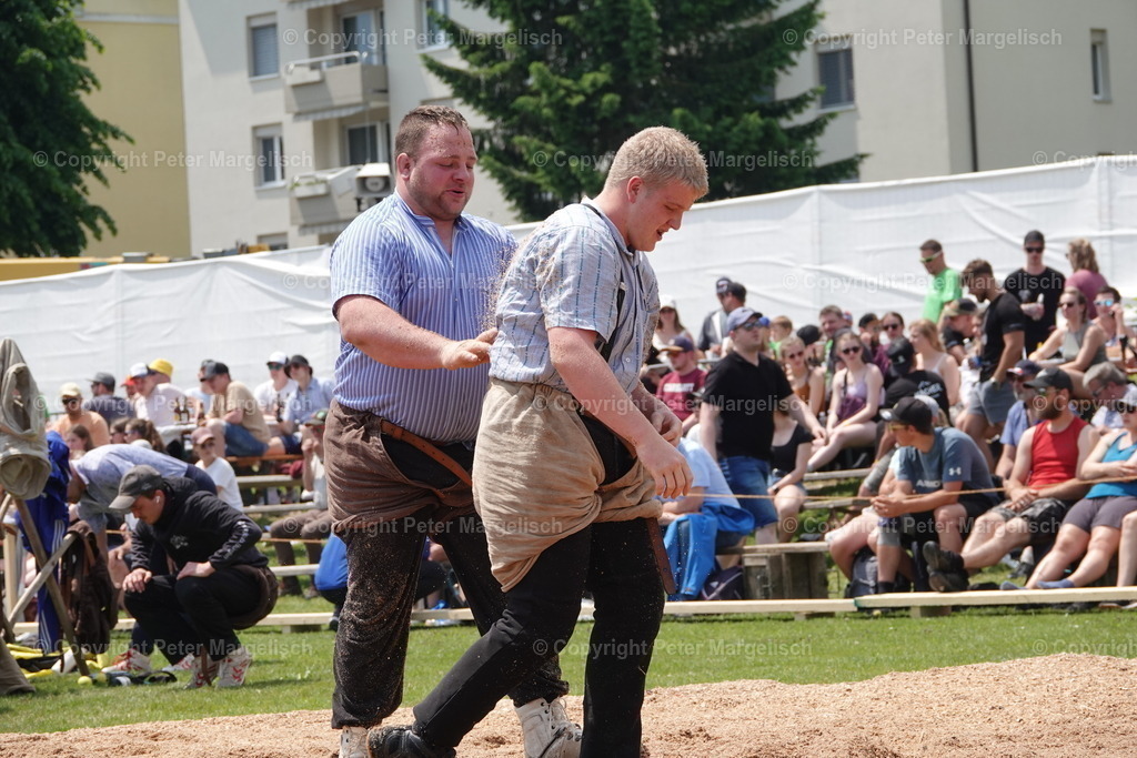 DSC04563 | Schwingen - Realisiert mit Pictrs.com