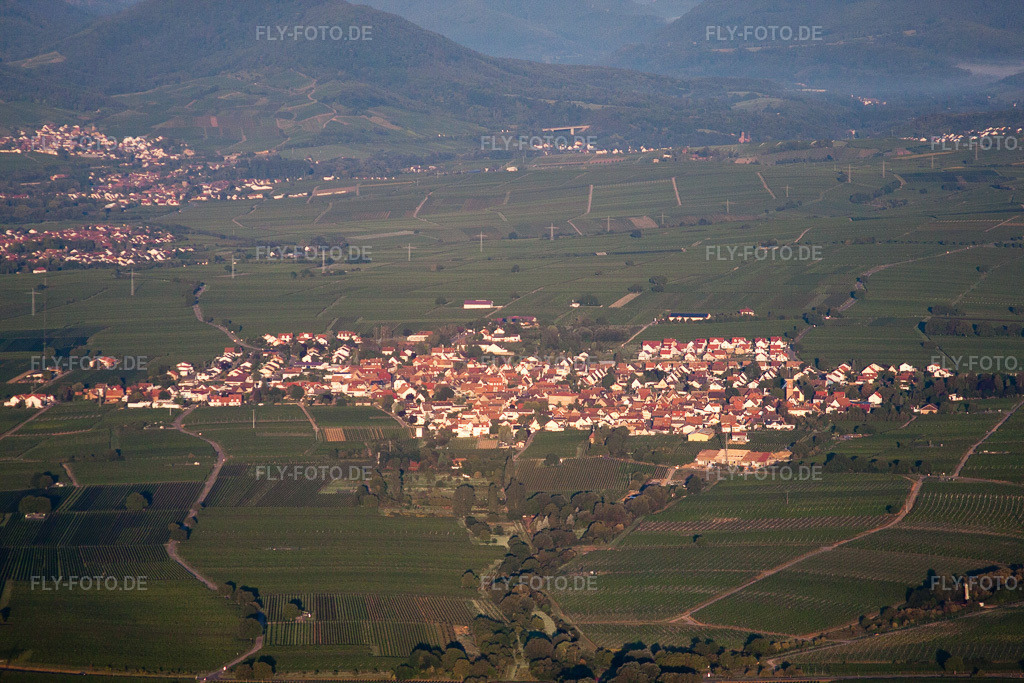 Luftbild: Nußdorf von Osten im Ortsteil Nußdorf in Landau im Bundesland Rheinland-Pfalz in Deutschland. Foto: IMG_44315.jpg vom 20.08.2011 durch Werner Riehm/FLY-FOTO.de