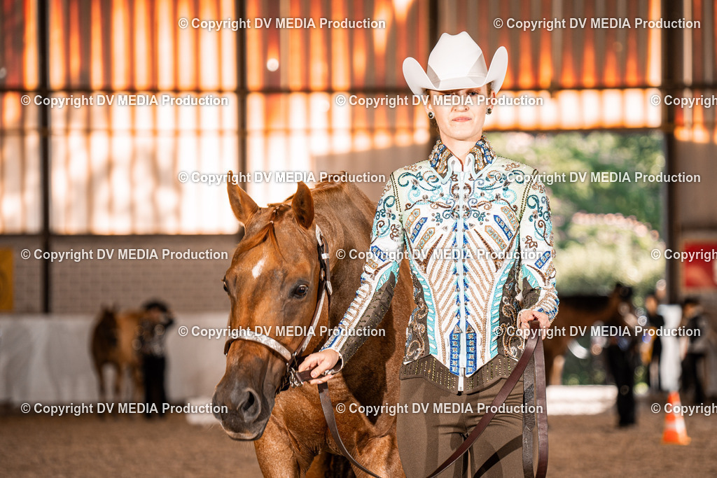 ZH100202 | dv-media-shop - Realisiert mit Pictrs.com