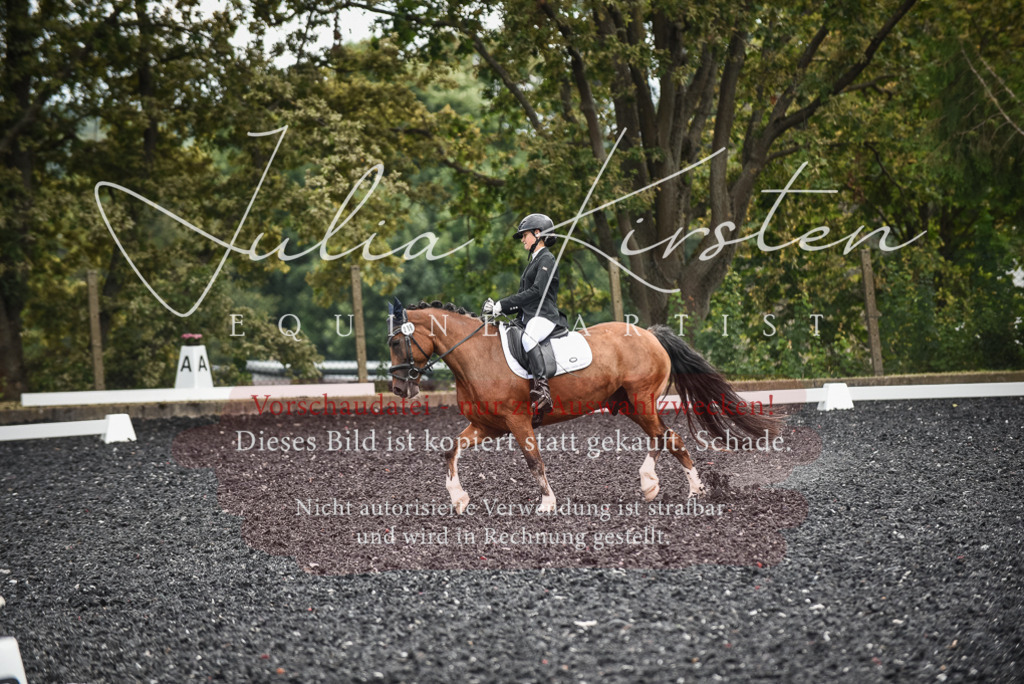 DSC_4491 | Pferde- und Turnierfotografie in Westsachsen. Pferdeportraits, Auftragszeichnungen und intuitive Kunst.