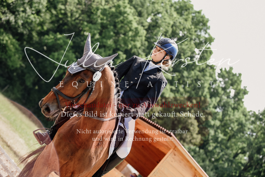 DSC_1132 | Pferde- und Turnierfotografie in Westsachsen. Pferdeportraits, Auftragszeichnungen und intuitive Kunst.