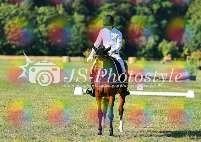 20260628_14a_VA_Dressur-26 | JS-Photostyle - Sport-/Portrait- & Eventfotografie