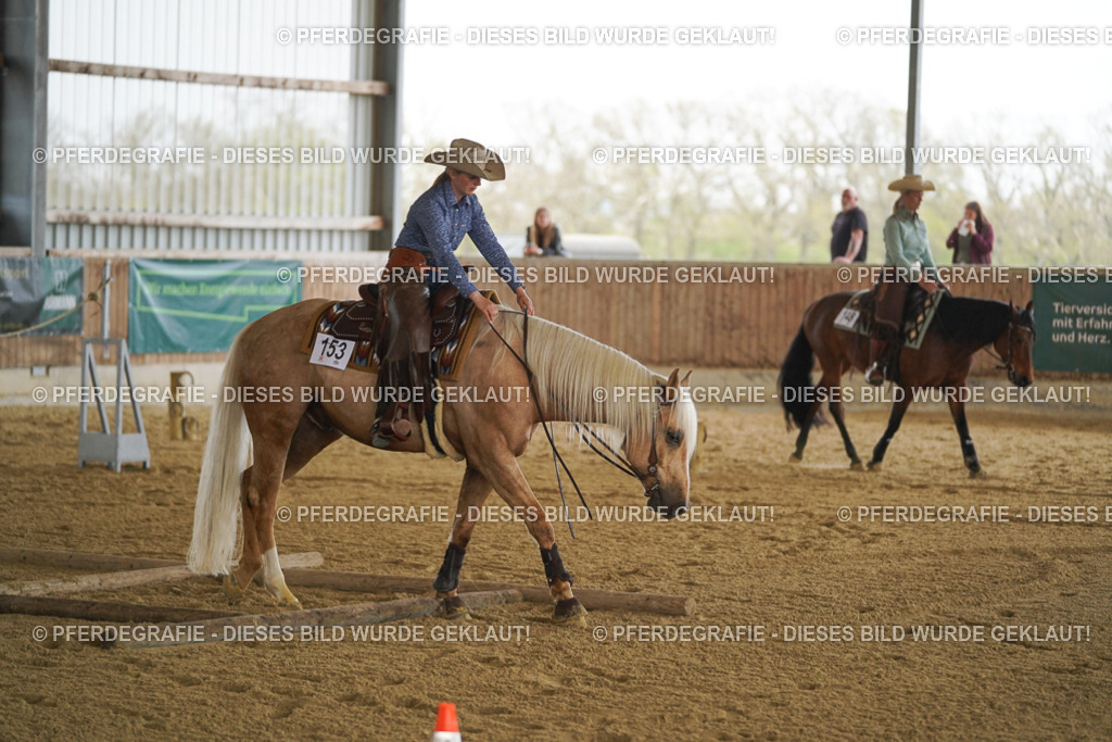 DSC06645 | Pferdegrafie