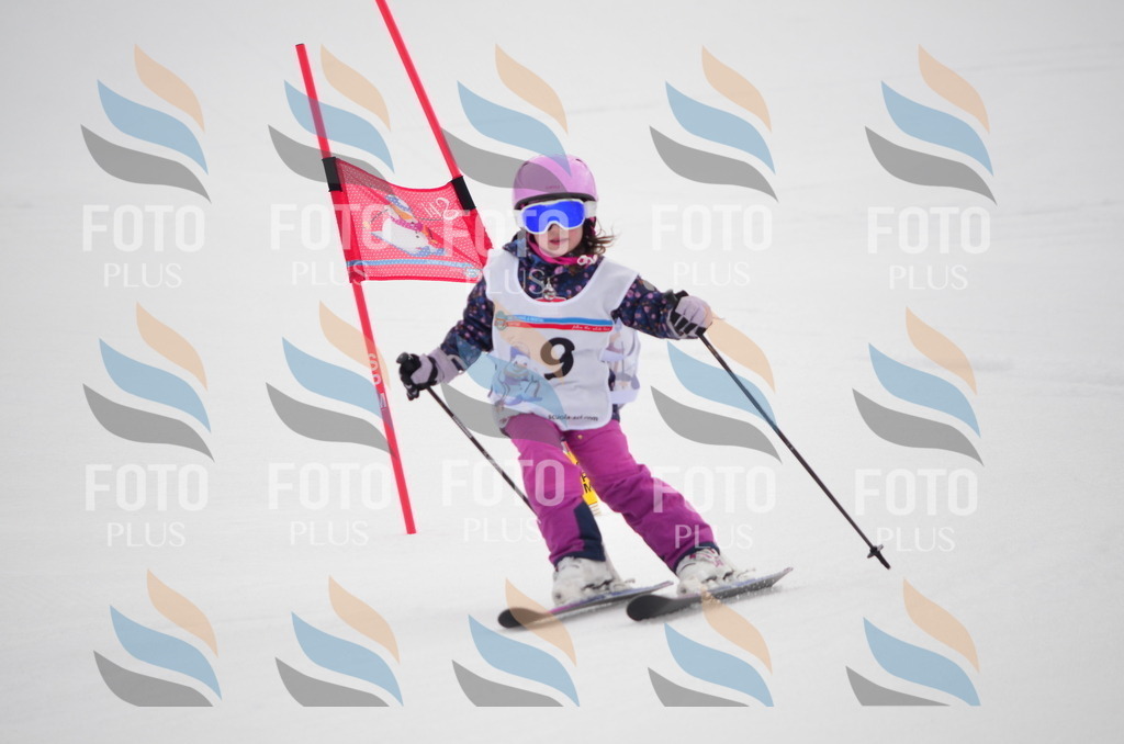 C0146 | holidayphoto