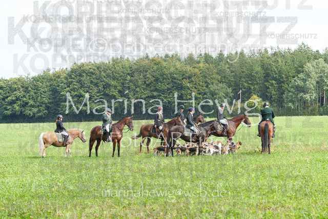 Jagd Perdoel_MarinaHewigMCH04557 | Fotografie, FotoArt, PferdesportArt, Pferdesportfotografie, Landschaftsfotografie, Reisefotografie, Reise, Pferde - Realisiert mit Pictrs.com