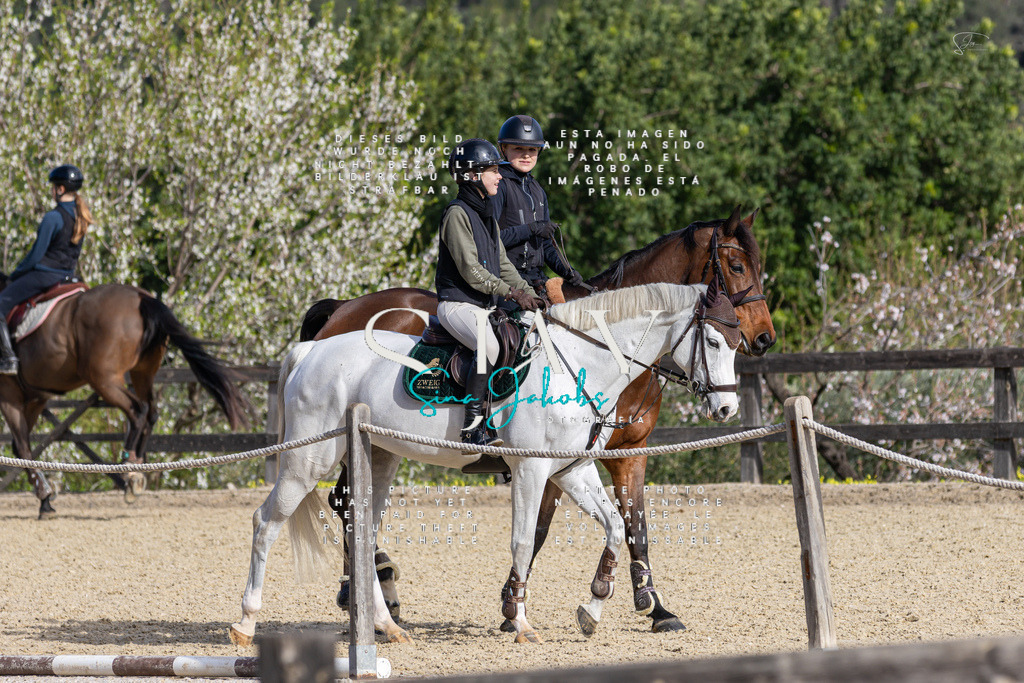 IMG_5647 | s-jay-photography - Realisiert mit Pictrs.com