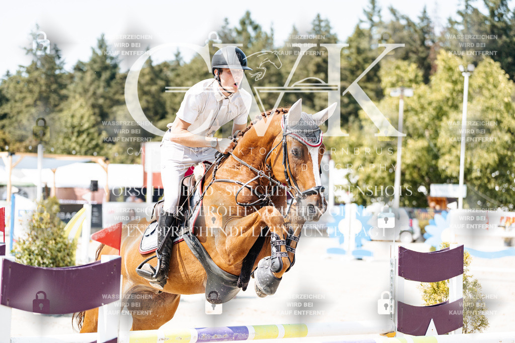CK901473 | Turnierfotografie Pferdefotografie Trier Rheinland-Pfalz Pferdesport Reitsport Tierfotografie Sportfotografie Pferdevideo Pferdevideografie Equestrianvideography equestrianphotography  - Realisiert mit Pictrs.com