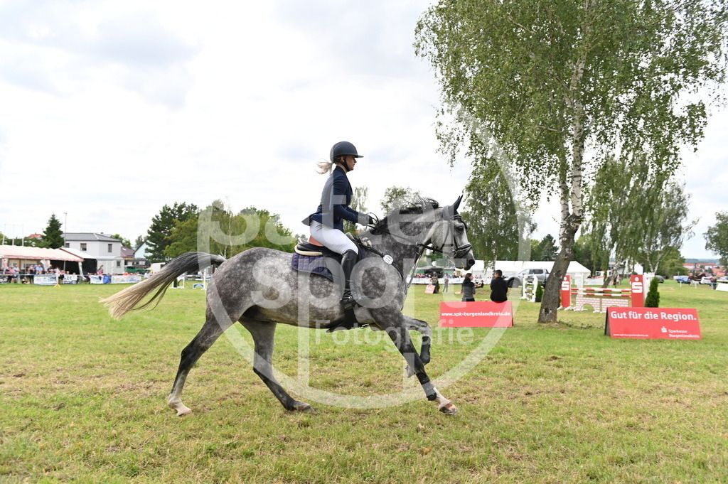 DSC_3850 | sattelsport - Realisiert mit Pictrs.com