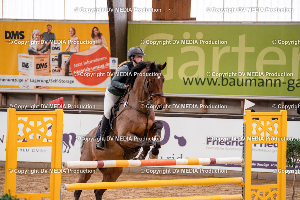 Kranichstein Tag 3-907 | dv-media-shop - Realisiert mit Pictrs.com