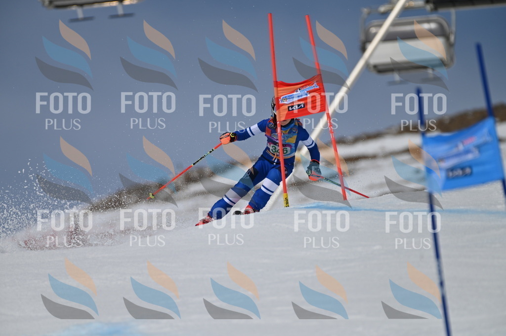 BGV_6849 | holidayphoto