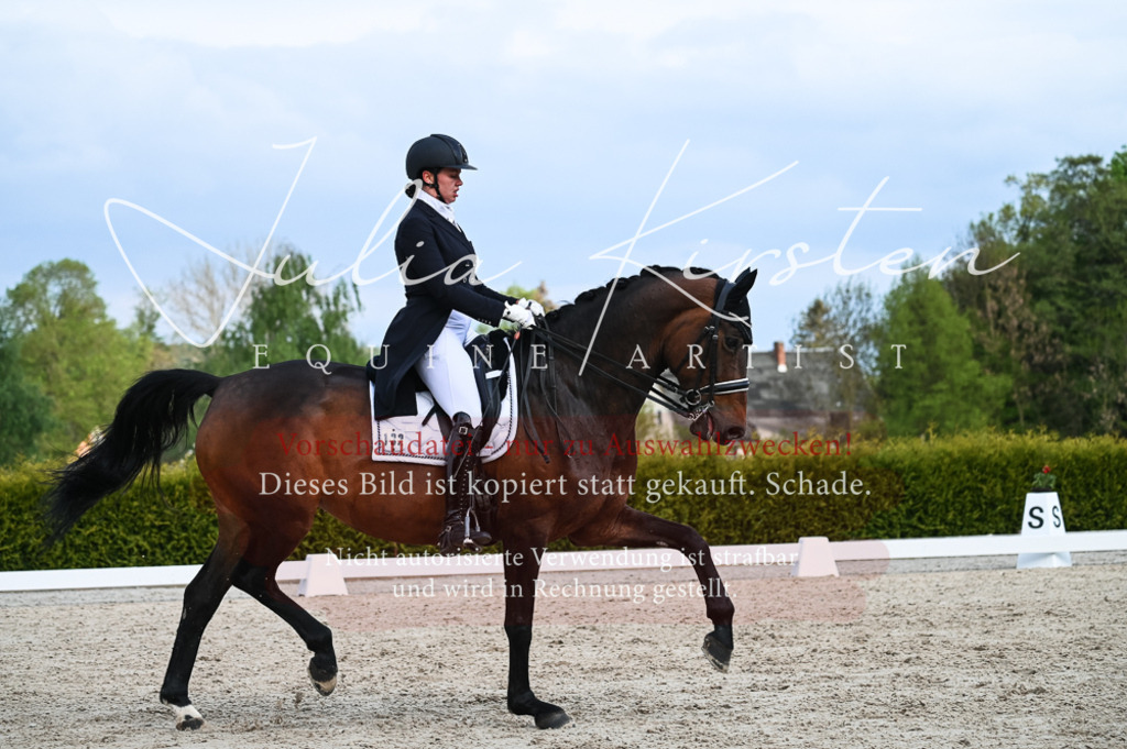 20230513_JK-Röhrsdorf-13-022 | Pferde- und Turnierfotografie in Westsachsen. Pferdeportraits, Auftragszeichnungen und intuitive Kunst.