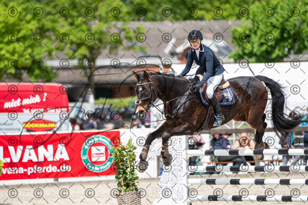 KPT_5649 | andre_photographic