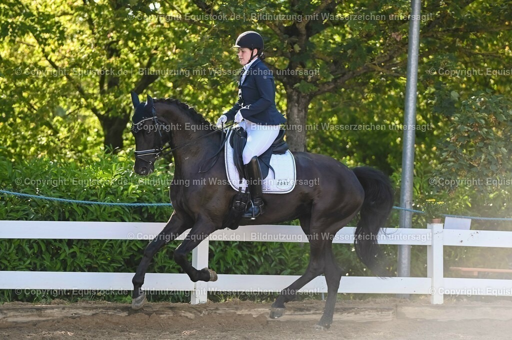 20230715_06_Dressurpferdeprfg. Kl.A_0185 | equistock