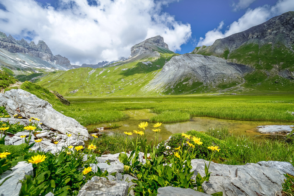 Sardona Ebene | Flims im Sommer - Realisiert mit Pictrs.com