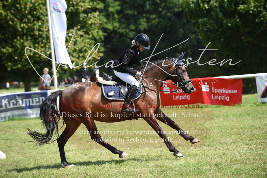 DSC_9930 | Pferde- und Turnierfotografie in Westsachsen. Pferdeportraits, Auftragszeichnungen und intuitive Kunst.