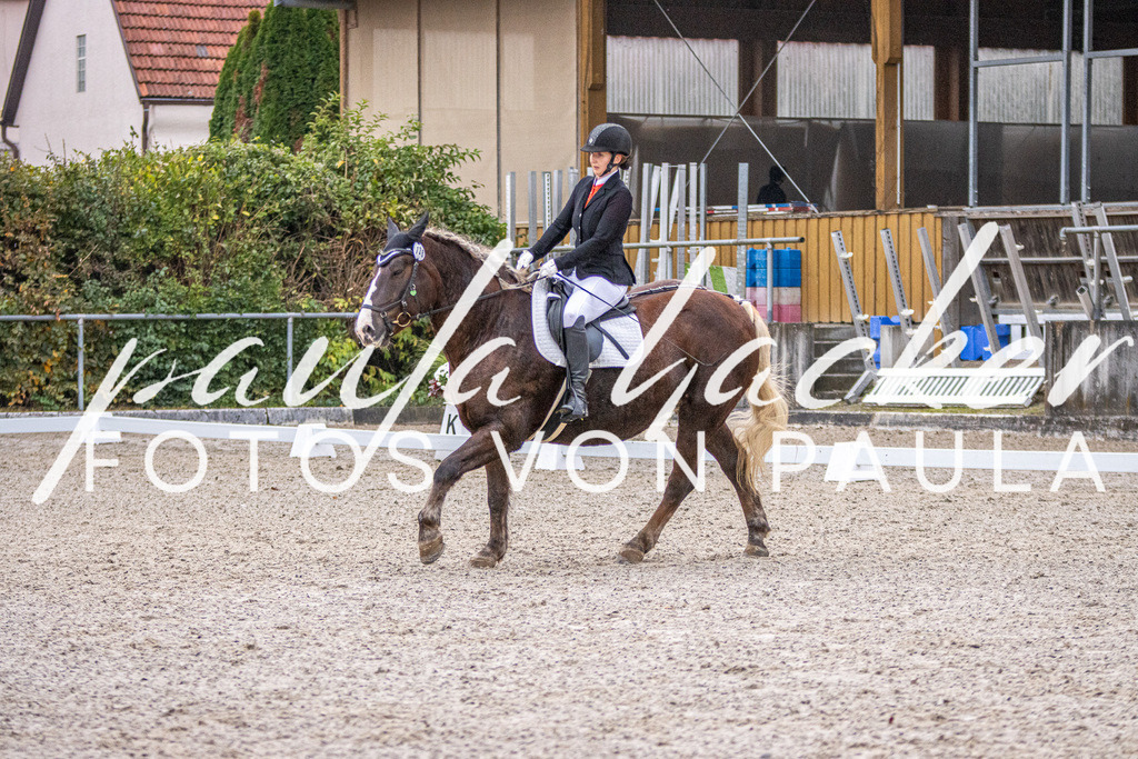 IMG_2520 | Erleben Sie dynamische Sport- und emotionale Tierfotografie in Süddeutschland mit Fotos von Paula. Spezialisiert auf Pferde- und Hundefotografie sowie Sportevents. Kontaktieren Sie mich für einzigartige und ausdrucksstarke Bilder Ihrer besonderen Momente. - Realisiert mit Pictrs.com