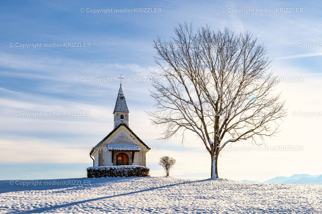 _J3A6775 | medienkrizzler - Realisiert mit Pictrs.com