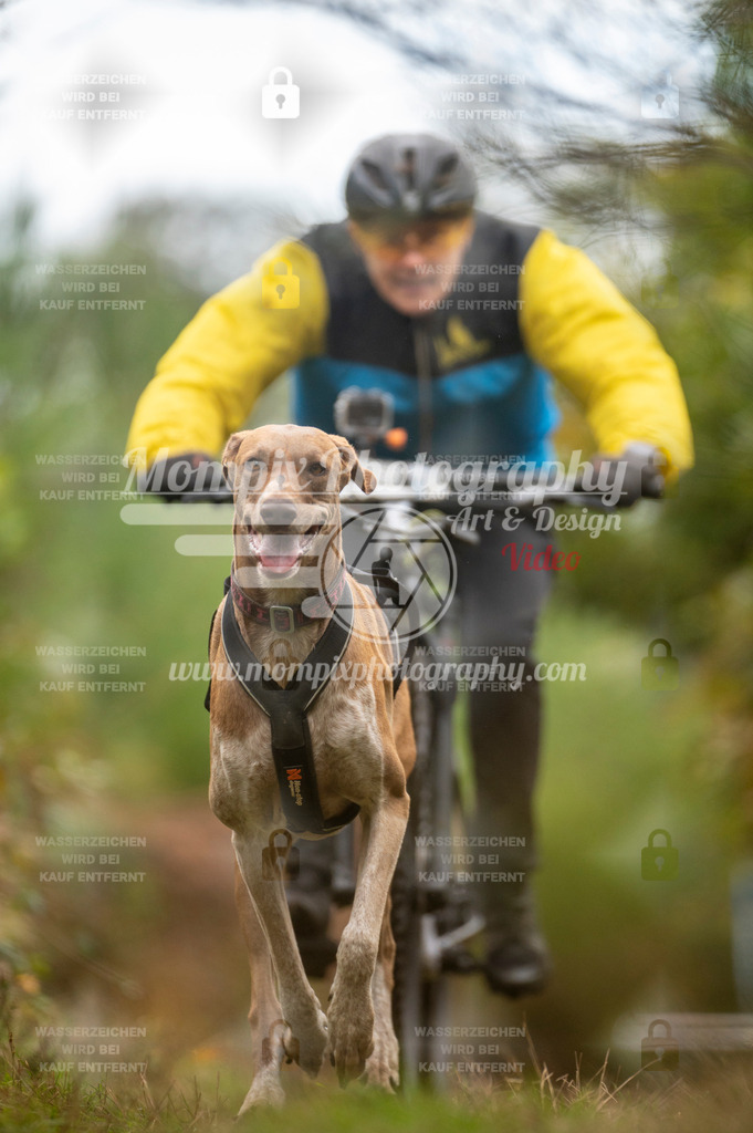 TSB_2023_E5_Bike-69 | PayLife