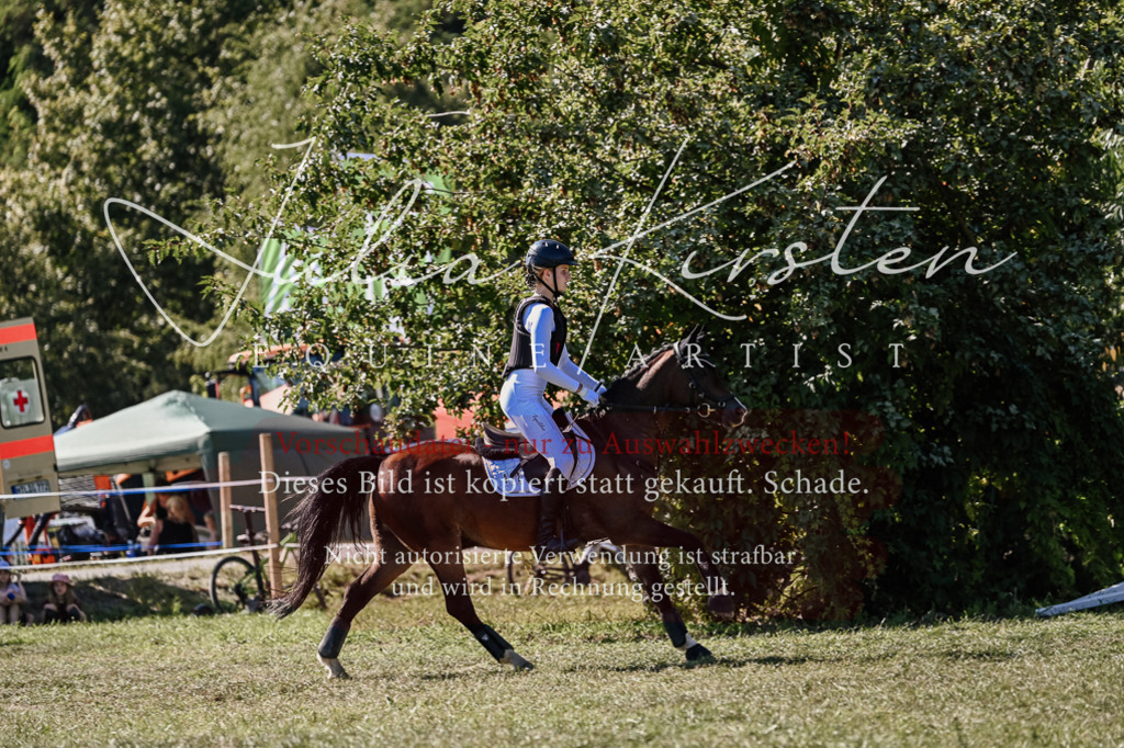 DSC_2932 | Pferde- und Turnierfotografie in Westsachsen. Pferdeportraits, Auftragszeichnungen und intuitive Kunst.