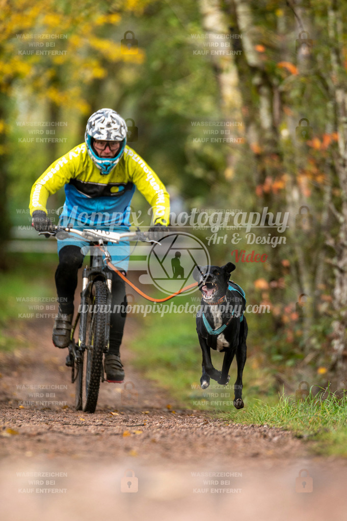 TSB_2023_E4_Bike-26 | PayLife