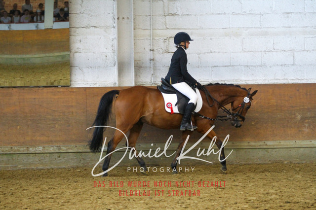 DKP44554 | Turniersportfotografie; Pferdefotografie; Dressurfotografie