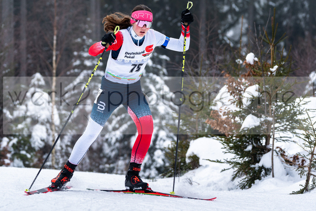 DSC Arber | Bayerischer Wald am 15. und 16. Januar 2022
