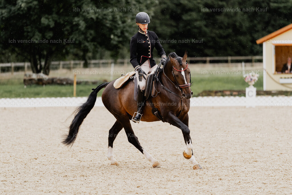 Virginie12FHC2025-8321 | working equitationturnier fotograf videograf stoibphotography marixx film working equitation deutschland reitsport turnierfotografie eventfotografie equestrian events