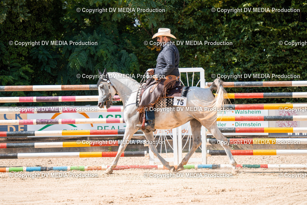 ZH100222 | dv-media-shop - Realisiert mit Pictrs.com