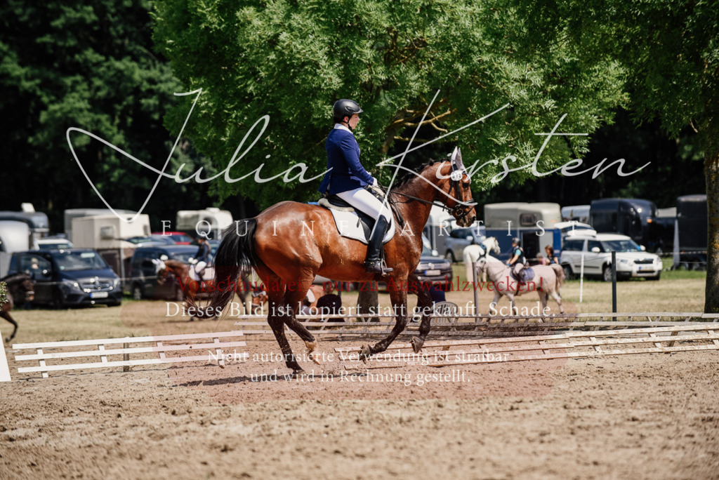 DSC_1249 | Pferde- und Turnierfotografie in Westsachsen. Pferdeportraits, Auftragszeichnungen und intuitive Kunst.