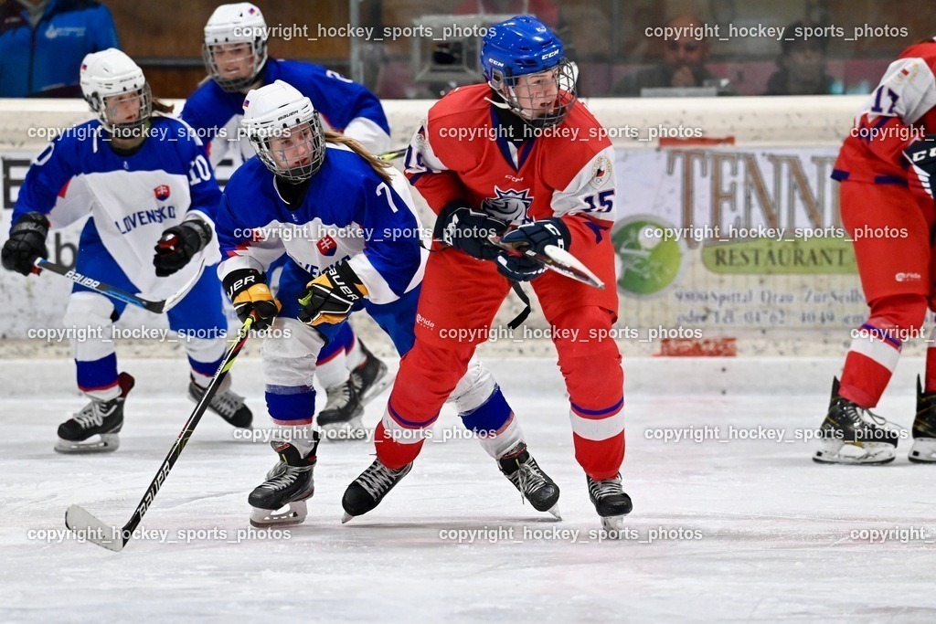 BST_6037 | hockey sports photos, Pressefotos, Sportfotos, hockey247, win 2day icehockeyleague, Handball Austria, Floorball Austria, ÖVV, Kärntner Eishockeyverband, KEHV, KFV, Kärntner Fussballverband, Österreichischer Volleyballverband, Alps Hockey League, ÖFB, 
