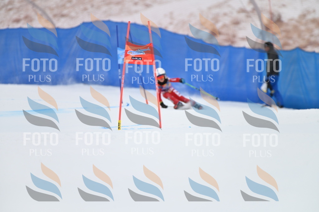 BGV_2820 | holidayphoto