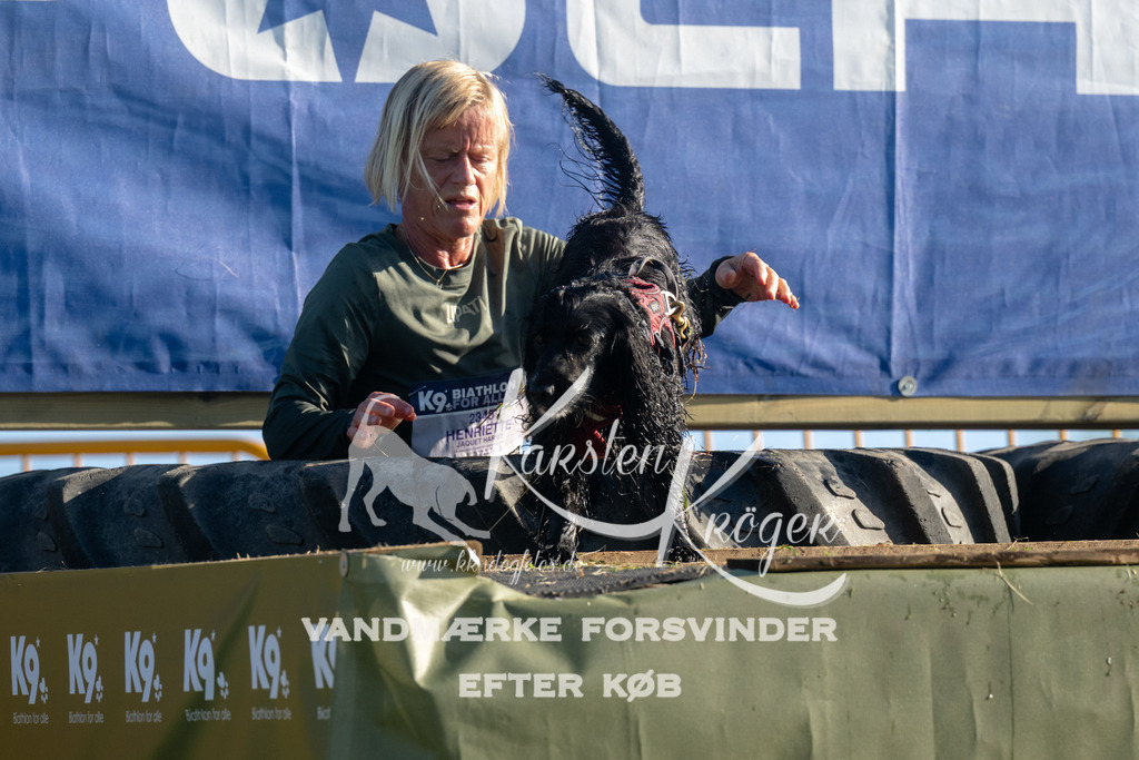 0841_ZZ94621 | kk-dogfotos