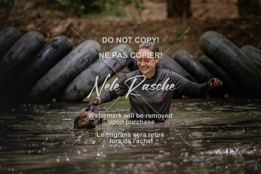 nelerasche_SaWingst1400-1500_252 | nelerasche