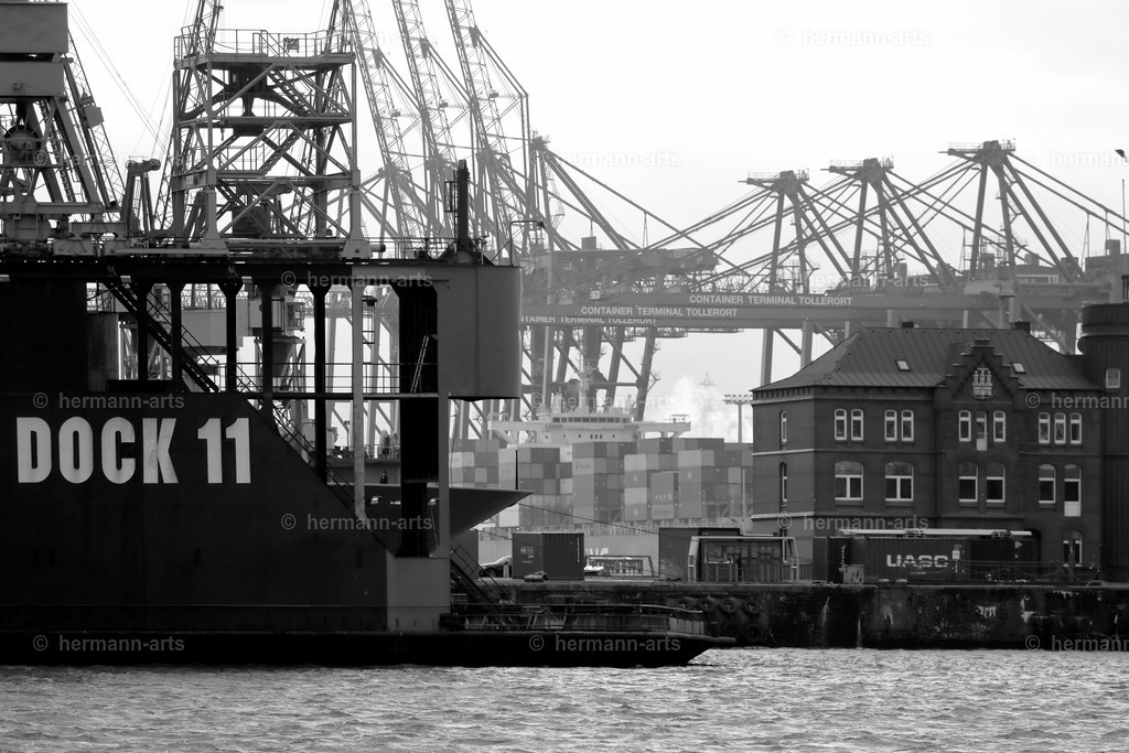 Hamurg_Arts-030 | Photo Foto Kunst Art schwarzweiss Bilder Rheine Münster Berlin Blumen 