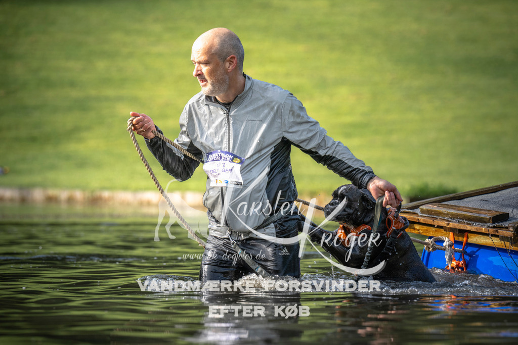 _ZZ936130706 | kk-dogfotos