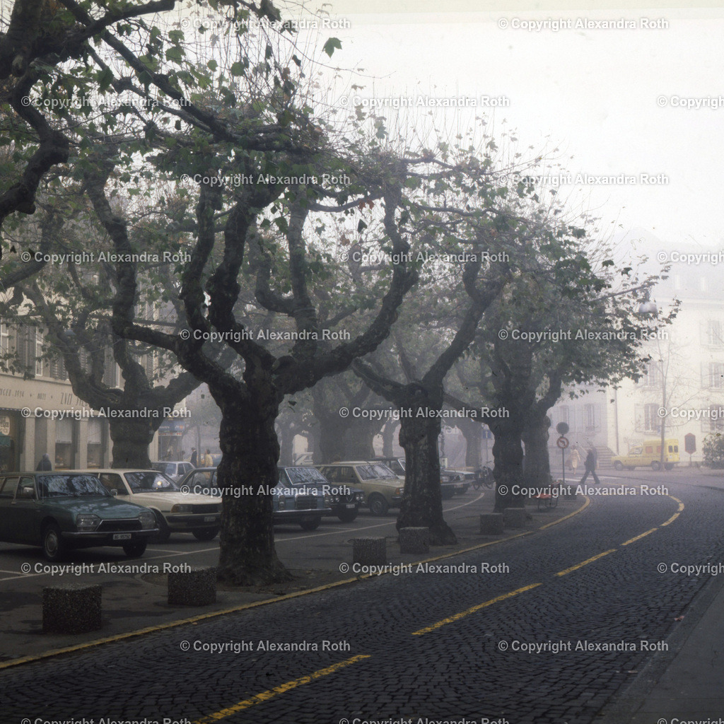 Aarau_0957 Kopie | onlineshop - Realisiert mit Pictrs.com