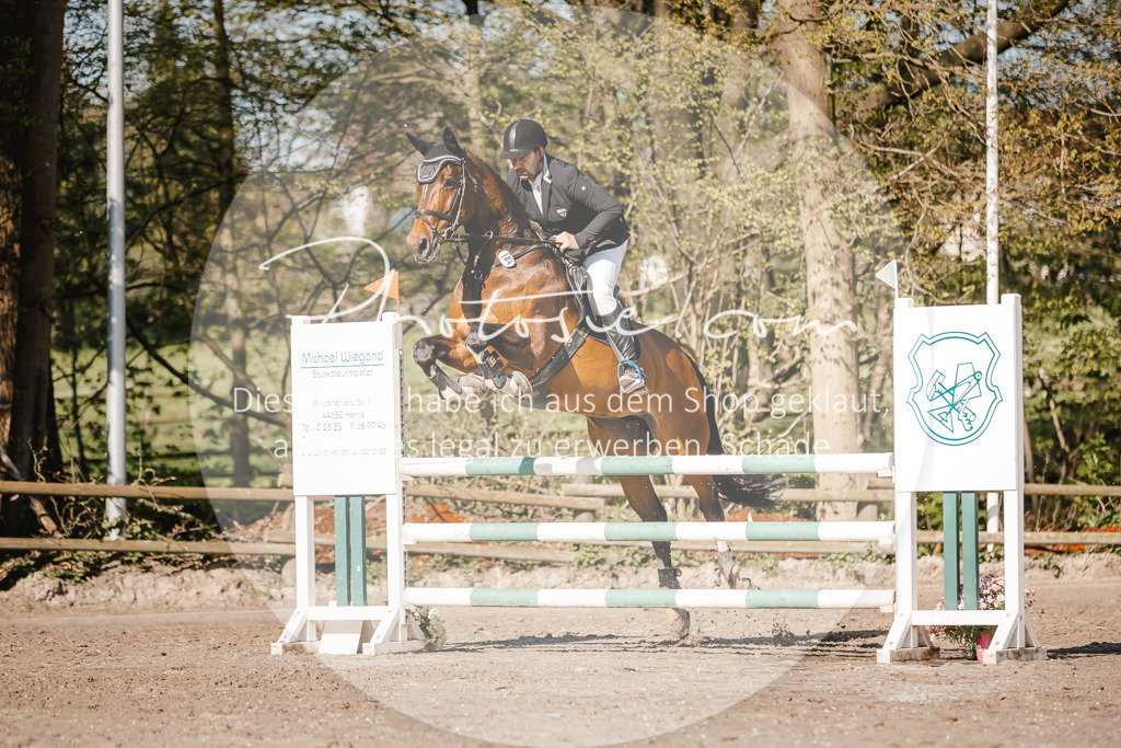 3I6A3674 | Stimmungsvolle Portraits und Reitsportfotografie im Ruhrgebiet und im Münsterland.

Pferdefotografie, Hundefotografie, Tierfotografie, Reportagen, Portraits von Tier und Mensch, Turnierfotografie in Bochum, Recklinghausen, Marl, Haltern am See, Dülmen.. - Realisiert mit Pictrs.com
