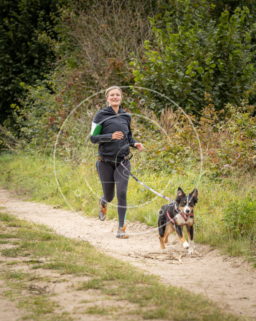 Pfotenfotografie_DV3A7524 | Hundefotografie, Tierfotograf, Pfotenfotografie, Fotoshooting Hund, Hunde Portrait, Hundesport, Hundeportraits, Heideshooting, Hunde, Sportfotograf, Hundefotograf, Turnierhundsport, THS,  - Realisiert mit Pictrs.com