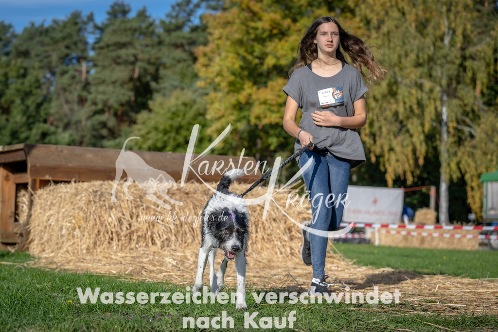 1029_ZZ90652 | kk-dogfotos